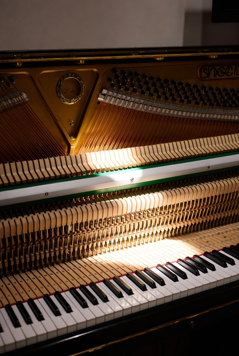 【2026 鋼琴保養全攻略】音色持久的秘密：香港潮濕天氣下的「救琴」懶人包與常見陷阱